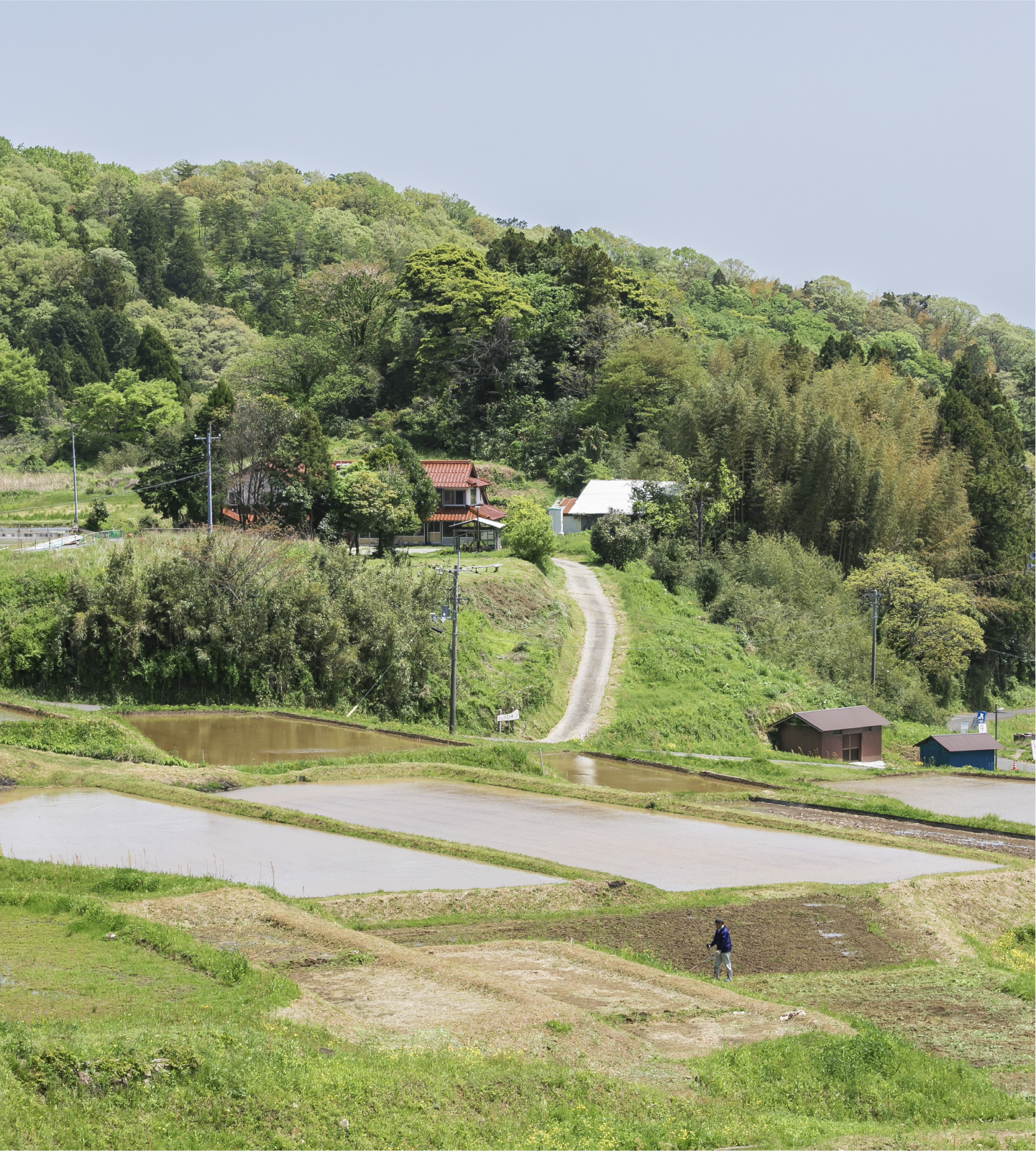 雲南市の田園風景